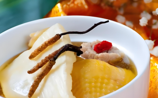 黃芪能和西藏那曲的冬蟲夏草一起燉嗎？